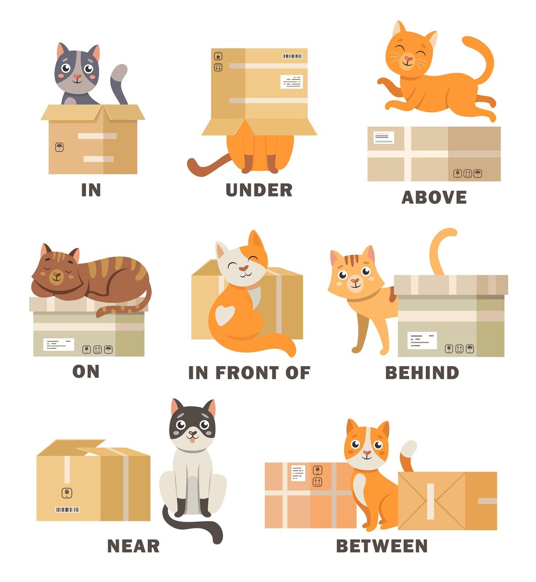 Prepositions of Place in English With Examples